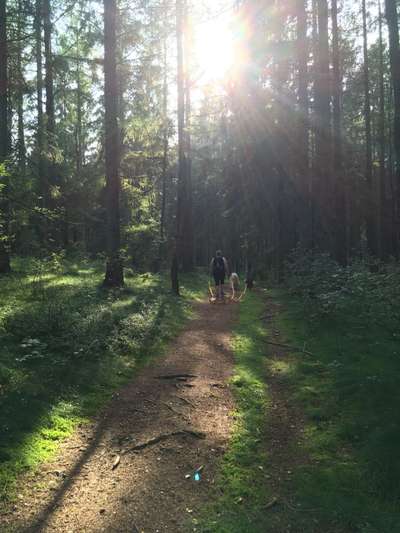 30. Collagen Challenge - Wege/Straßen-Beitrag-Bild