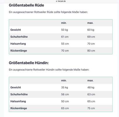 Radfahren mit Hund-Beitrag-Bild