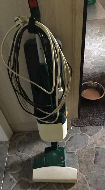 Wohnen mit Hund/ Hunden-Beitrag-Bild