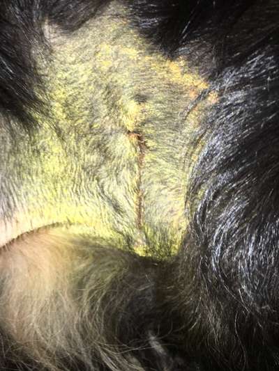 Knubbel entfernen ja oder nein?-Beitrag-Bild