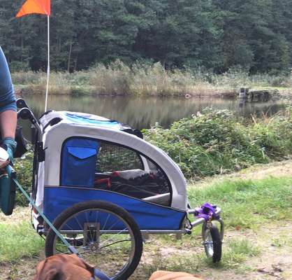 Hundeanhänger-Beitrag-Bild