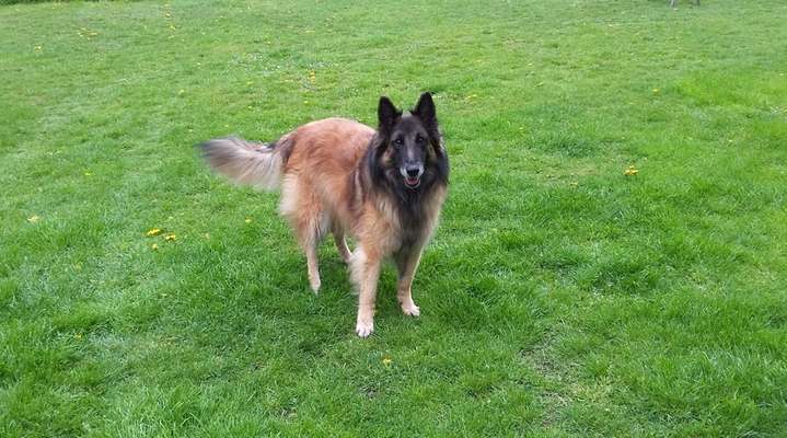 Farben Fotochallenge Thema ,,Grün"-Beitrag-Bild