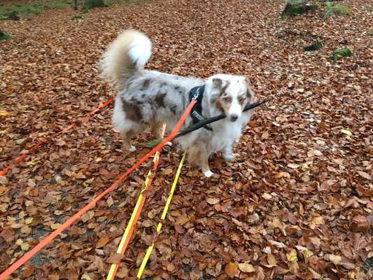 Herbst Bilder-Beitrag-Bild