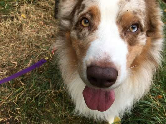 Nahaufnahme-Beitrag-Bild