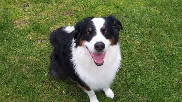 Farben Fotochallenge Thema ,,Grün"-Beitrag-Bild