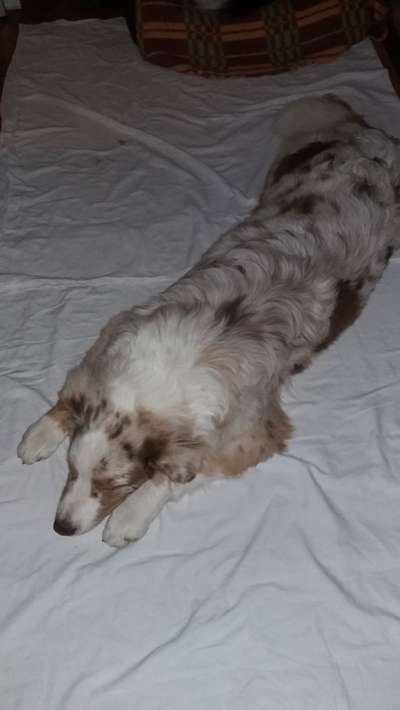 Verrückte Schlafpositionen-Beitrag-Bild