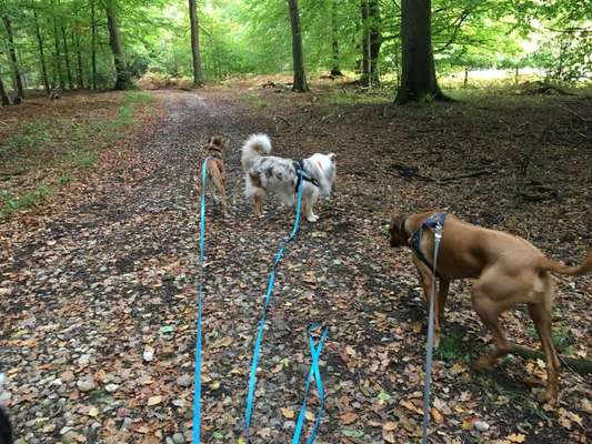 Herbst Bilder-Beitrag-Bild