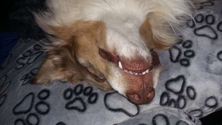 Verrückte Schlafpositionen-Beitrag-Bild