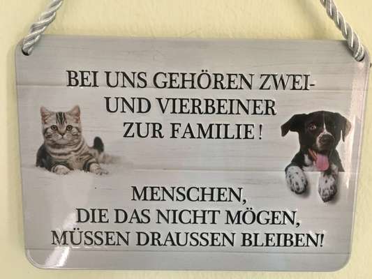 Berührende Hunde Bilder/Videos-Beitrag-Bild