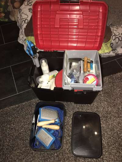 Upcycling - aus Alt mach Neu-Beitrag-Bild