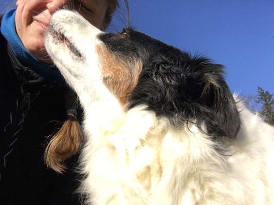 10. Farben Foto-Challenge ---- Blau-Beitrag-Bild