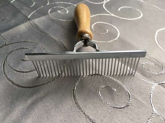 Hund scheren im Sommer?-Beitrag-Bild