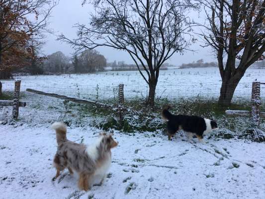 Der erste Schnee, zeigt uns eure tollen Schneemomente-Beitrag-Bild