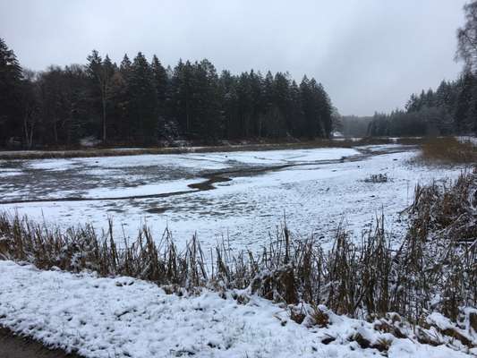 Der erste Schnee, zeigt uns eure tollen Schneemomente-Beitrag-Bild