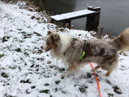 Der erste Schnee, zeigt uns eure tollen Schneemomente-Beitrag-Bild