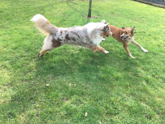 Farben Fotochallenge Thema ,,Grün"-Beitrag-Bild