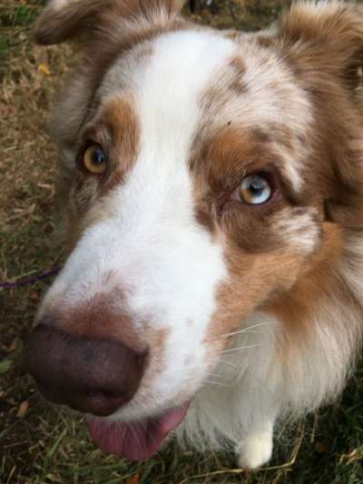 Nahaufnahme-Beitrag-Bild