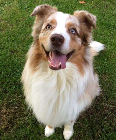 Lieblingsbild-Beitrag-Bild