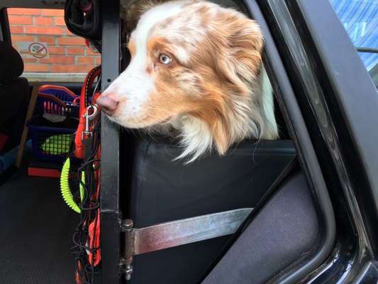 117. Fotochallenge-Beitrag-Bild