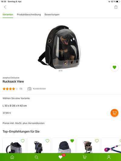 welpen allein lassen-Beitrag-Bild