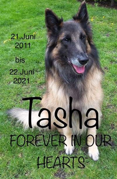 Lieblingsbild-Beitrag-Bild