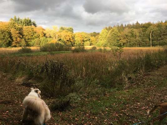 Herbst Bilder-Beitrag-Bild