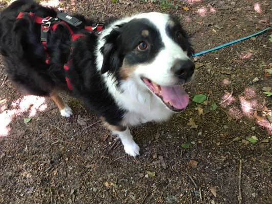 Freddys Kummerkasten-Beitrag-Bild