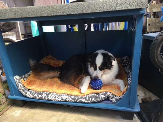 Upcycling - aus Alt mach Neu-Beitrag-Bild