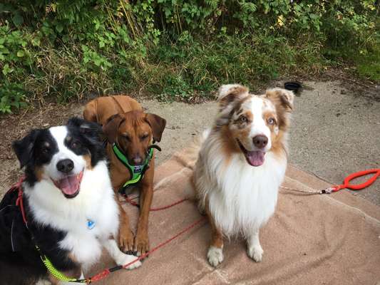 Das beste grinsefoto-Beitrag-Bild