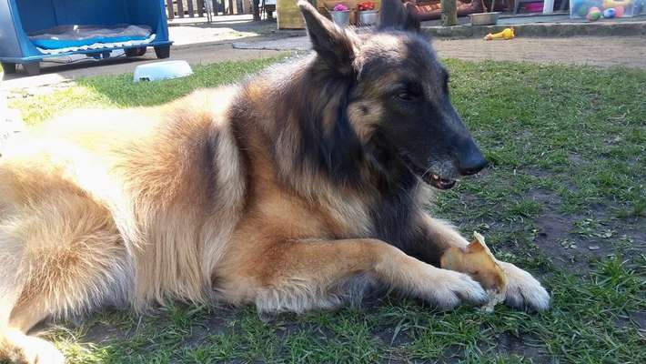 Lieblingsbild-Beitrag-Bild