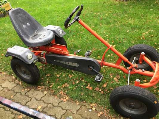 Trainingseinheiten mit Dog-Scooter-Beitrag-Bild