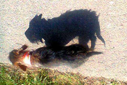 Fotochallange Nr. 46

Schattenspiele BEENDET!!!!!-Beitrag-Bild