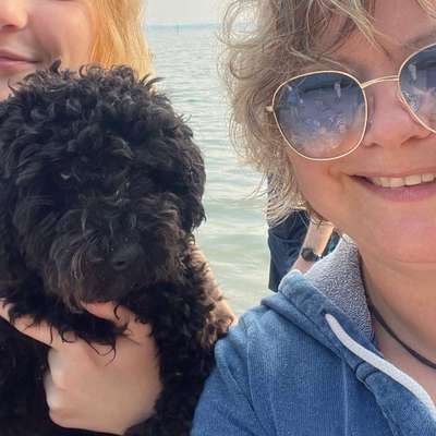 Hundetreffen-ungezwungene Runde-Bild