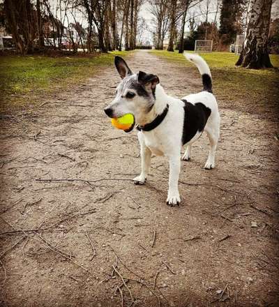 Fotochallenge Nr. 56 - geliebte Senioren-Beitrag-Bild