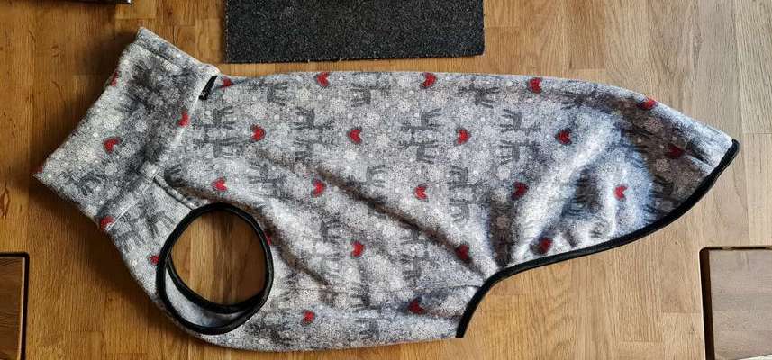 Rhodesian Ridgeback-Beitrag-Bild