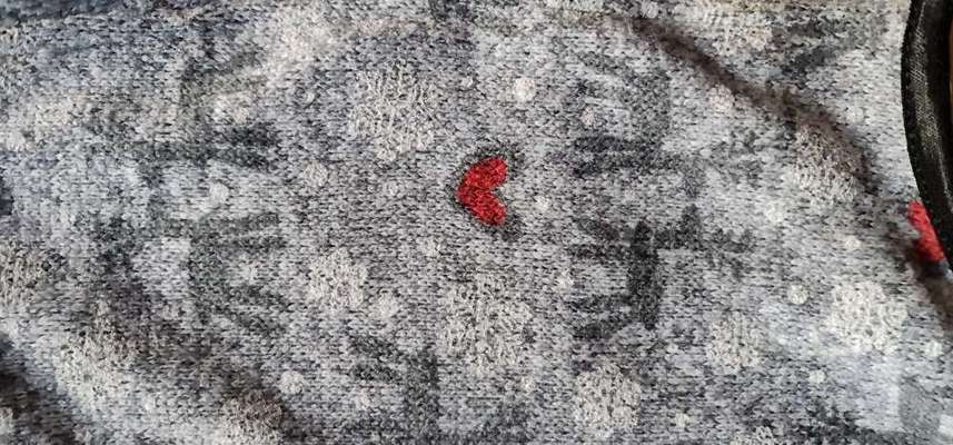 Rhodesian Ridgeback-Beitrag-Bild