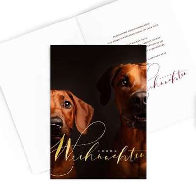 Rhodesian Ridgeback-Beitrag-Bild