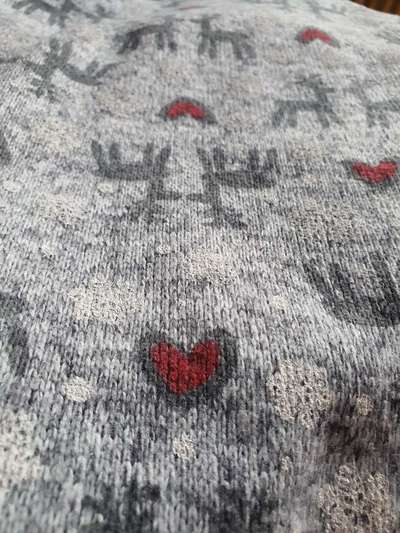 Rhodesian Ridgeback-Beitrag-Bild