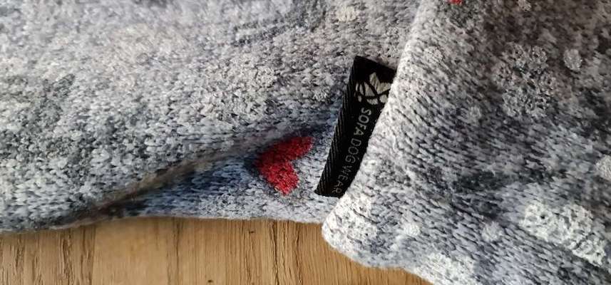 Rhodesian Ridgeback-Beitrag-Bild