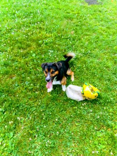 Foto Challenge die Vierte-Beitrag-Bild