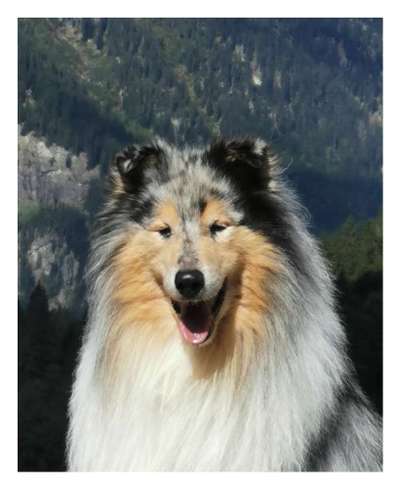 Fotochallange Nr. 57     PORTRÄT.   Beendet!!!!!!!!-Beitrag-Bild