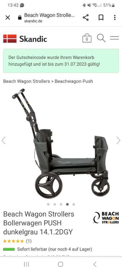 Collies gesucht-Beitrag-Bild