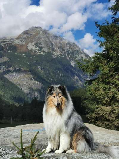 Dogorama Photo Challenge - Tierischer Urlaub-Beitrag-Bild