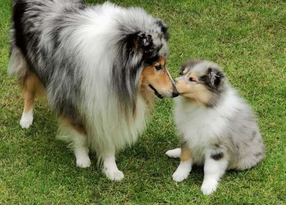 Fotochallenge Nr. 62 Romantische Momente-Beitrag-Bild