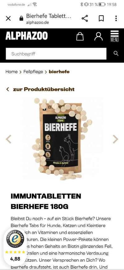 Collies gesucht-Beitrag-Bild