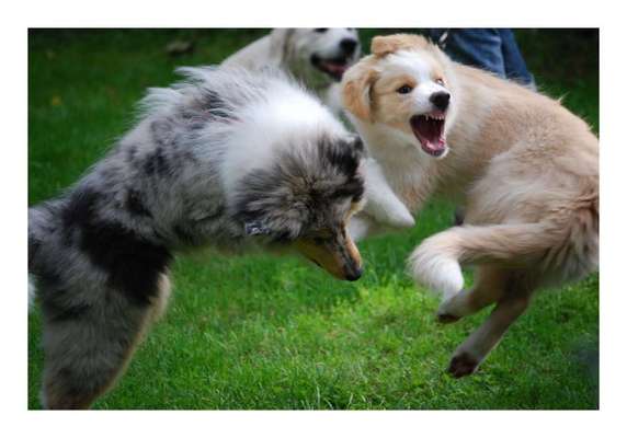 Fotochallenge Nr. 52 „Spring!“-Beitrag-Bild