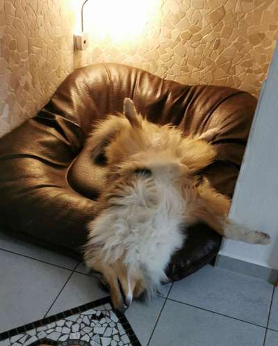 Die unbequemsten und lustigsten Schlafpositionen-Beitrag-Bild