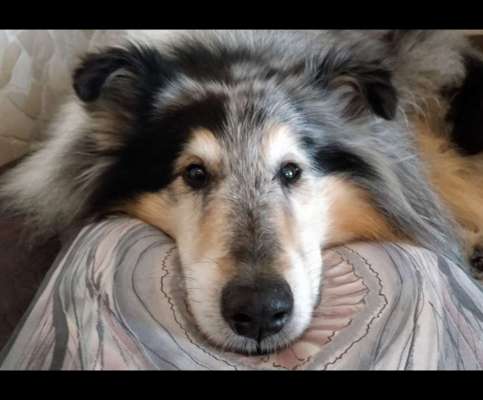 Fotochallange Nr. 57     PORTRÄT.   Beendet!!!!!!!!-Beitrag-Bild