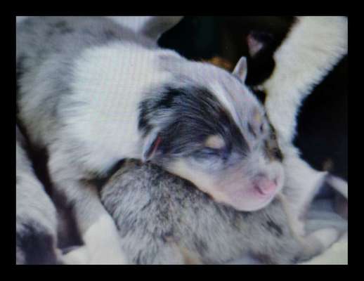 Erstes Bild-Beitrag-Bild