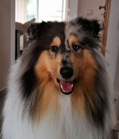 Fotochallange Nr. 57     PORTRÄT.   Beendet!!!!!!!!-Beitrag-Bild